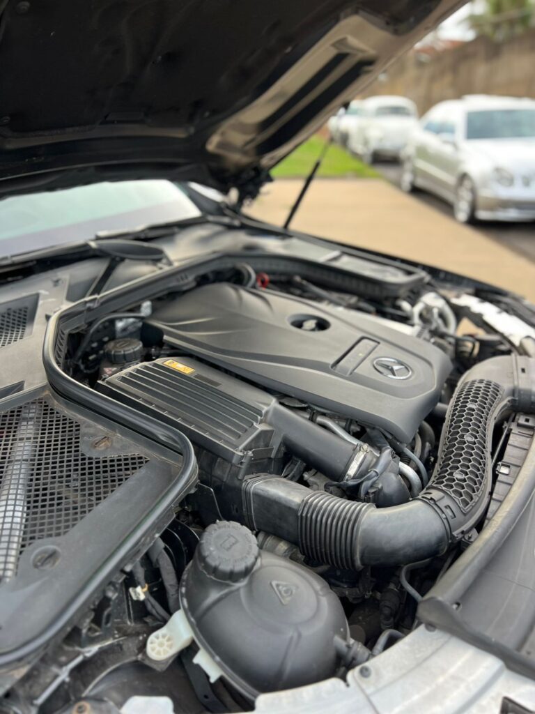 WhatsApp Image 2025-11-05 at 18.19.38 (1)