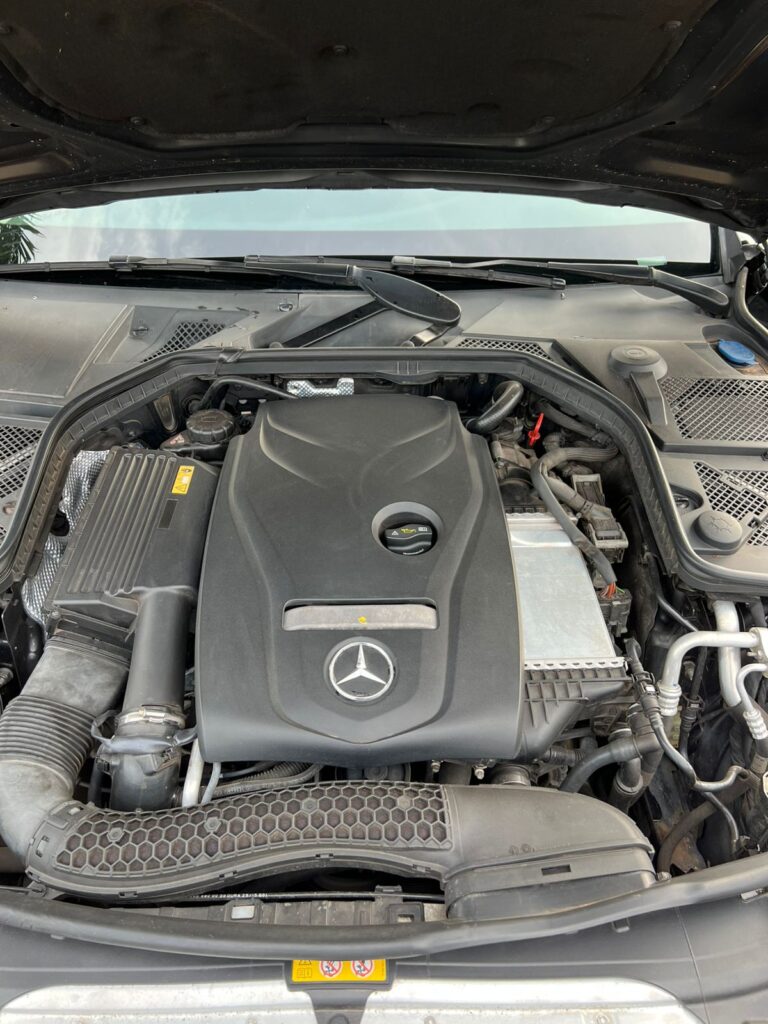 WhatsApp Image 2025-11-05 at 18.19.38