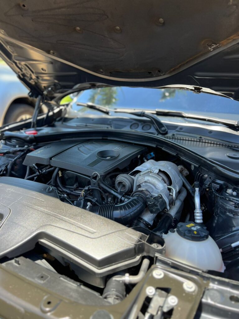 WhatsApp Image 2025-11-12 at 10.54.41 (1)