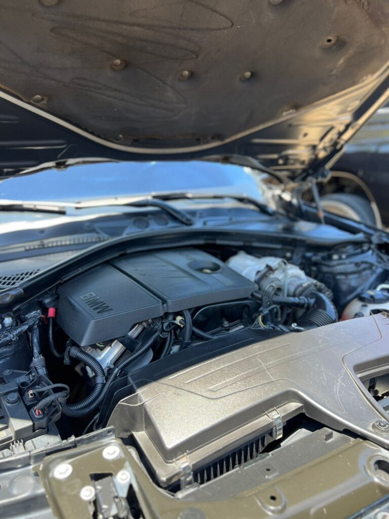 WhatsApp Image 2025-11-12 at 10.54.41 (2)