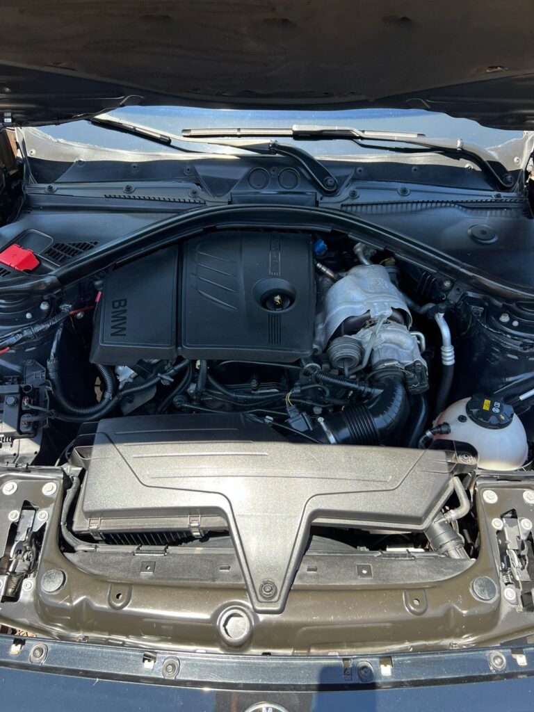 WhatsApp Image 2025-11-12 at 10.54.41